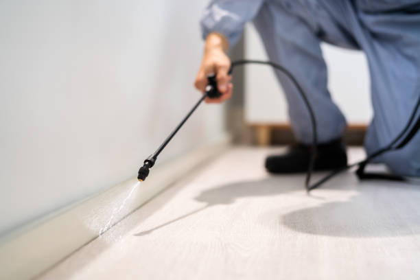 Licensed Pest Control service in Redland, MD - Show Me Pest Control